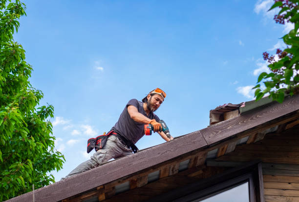 Best Skylight Installation and Repair  in Marshall, IL